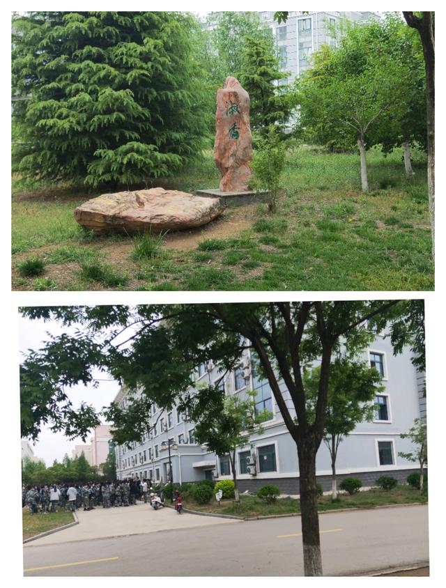 十大赌博平台排行榜巾帼木兰