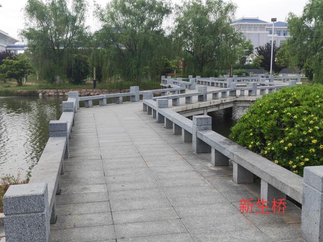 十大赌博平台排行榜新生桥